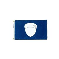 Treasurer Flag - Grommets