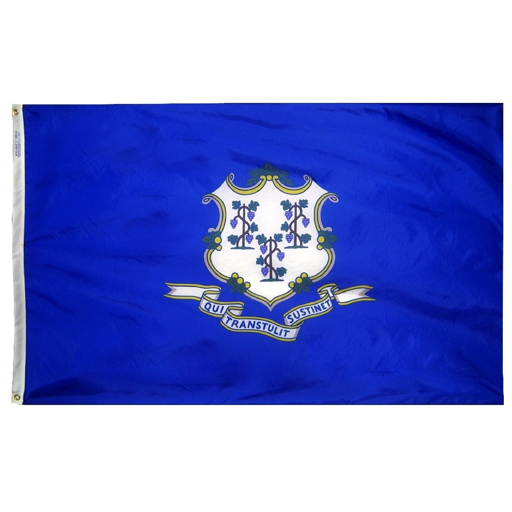 Connecticut Flag - Grommets 2 Connecticut Flag Grommets Finish
