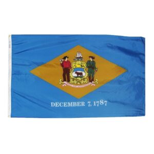Delaware Flag Grommets Finish