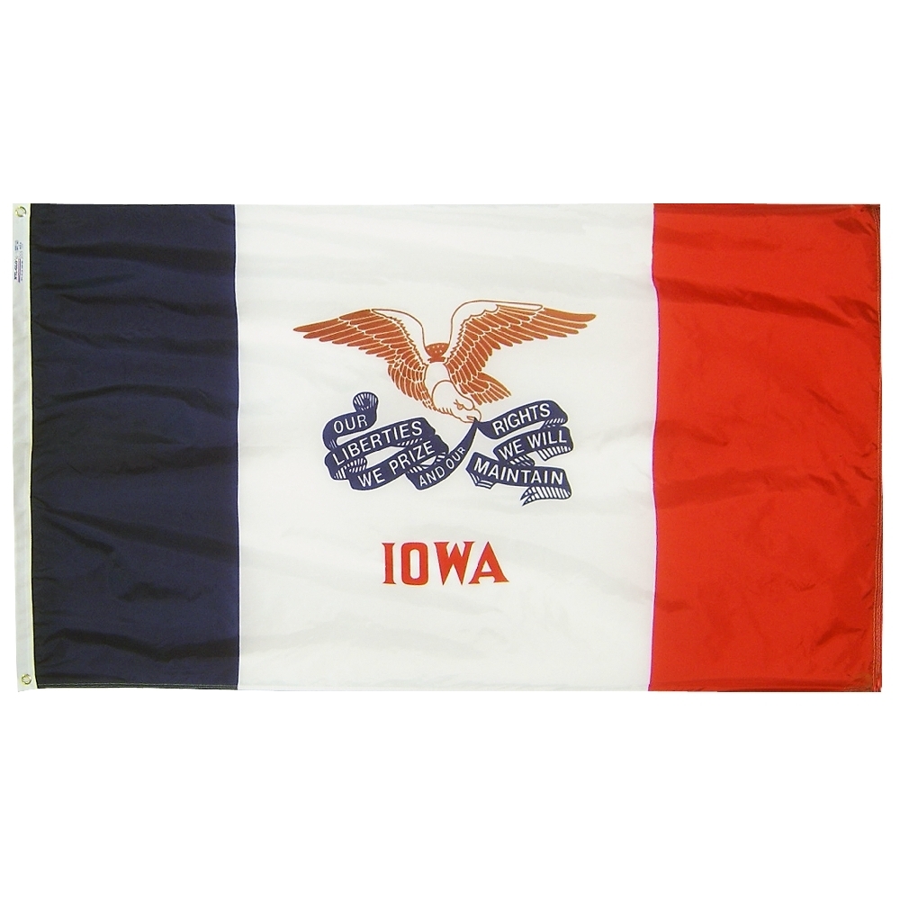 Iowa Flag - Grommets 12 Iowa Flag Grommets Finish