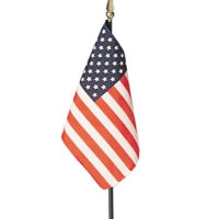American Flag - Mounted