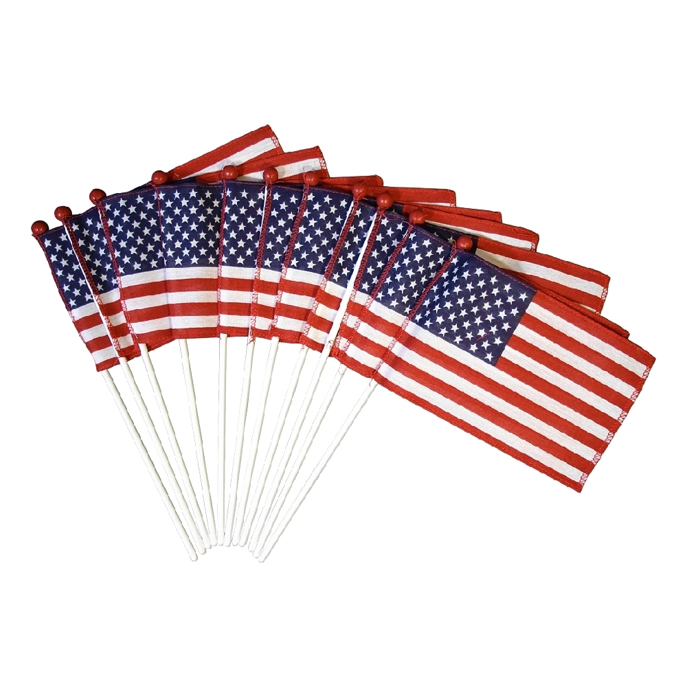 Saf-T-Ball American Flag - Mounted 2 Saf-T-Ball American Flag Mounted