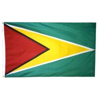 Guyana Flag - Grommets