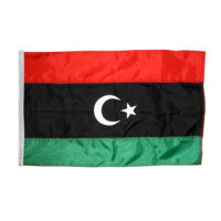 Libya Flag - Grommets