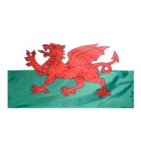 Wales Flag - Grommets