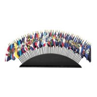 50 States Flag Set - Mounted