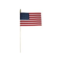 American Flag - Mounted No Fray