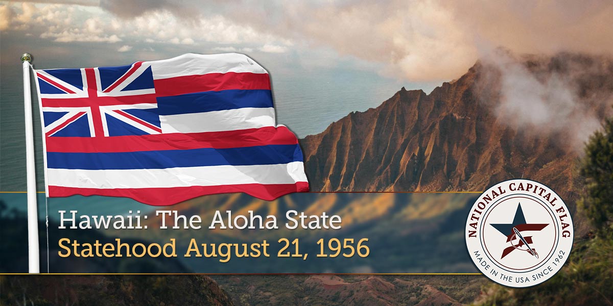 Space Force Wall Seal - Painted Wood 4 Hawaii Featured Image