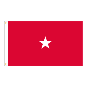 Army 1 Star General Officer Flag Grommets Finish