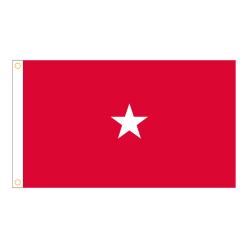 Army 1 Star General Officer Flag Grommets Finish