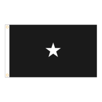 US Space Force 1 Star General Officer Flag - Grommets