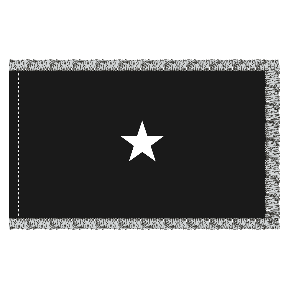 US Space Force 1 Star General Officer Flag - Fringe 2 US Space Force 1 Star General Officer Flag - Fringe