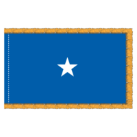 USAF 1 Star General Officer Flag - Fringe