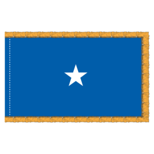 USAF 1 Star General Officer Flag Fringe
