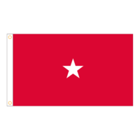 USMC 1 Star General Officer Flag - Grommets