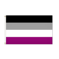 Asexual Pride Flag - Grommets
