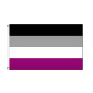 Asexual Pride Flag Grommets Finish