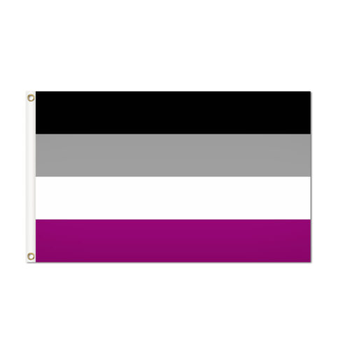 Asexual Pride Flag Grommets Finish