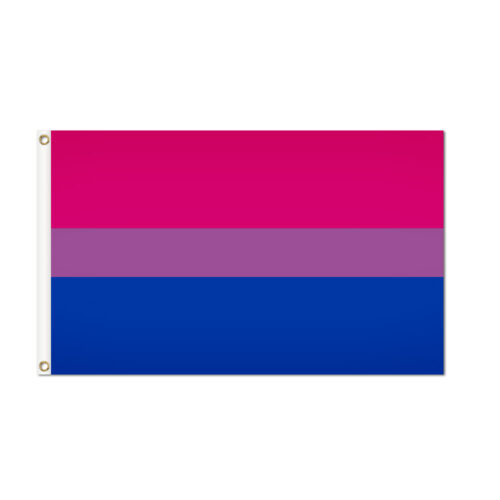 Bisexual Pride Flag Grommets Finish
