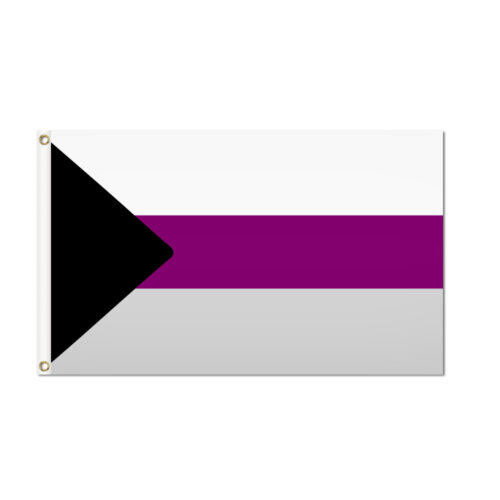 Demisexual Pride Flag Grommets Finish