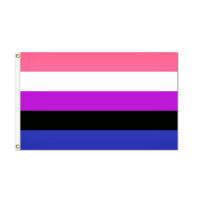 Gender-fluid Pride Flag - Grommets