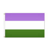 Genderqueer Pride Flag - Grommets