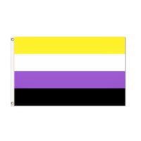 Non-Binary Pride Flag - Grommets