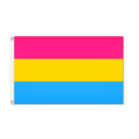 Pansexual Pride Flag - Grommets