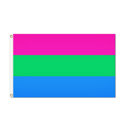 Polysexual Pride Flag Grommets Finish