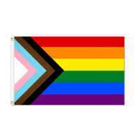 Progress Pride Flag - Grommets