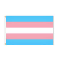Transgender Pride Flag - Grommets