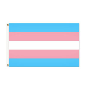 Transgender Pride Flag Grommets Finish